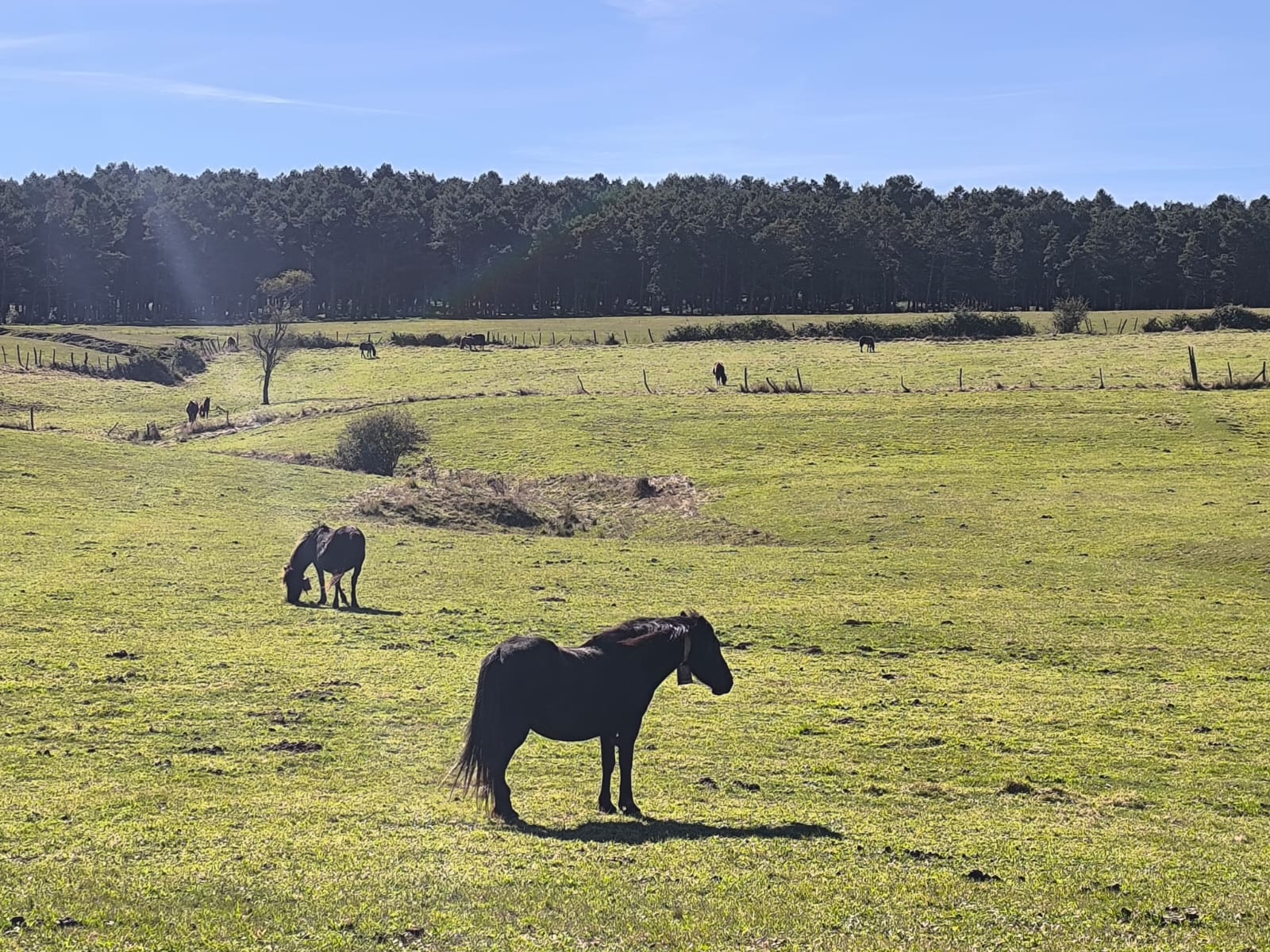Complejo rural - Cantabria